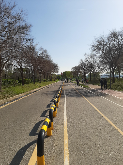 한강 자전거 도로에서 빠르게 걷기 운동을 실천한 장소