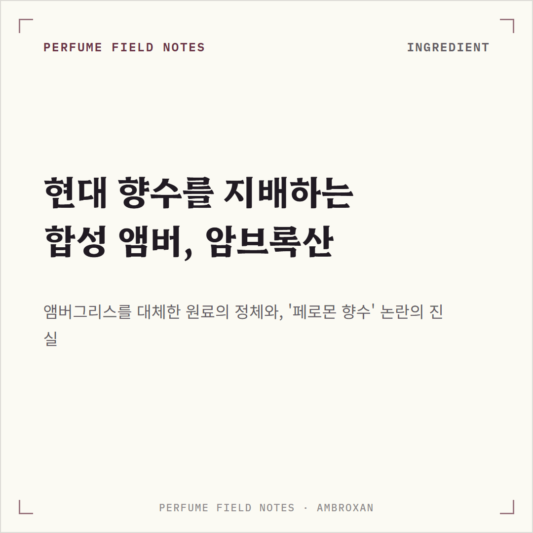 암브록산 사진