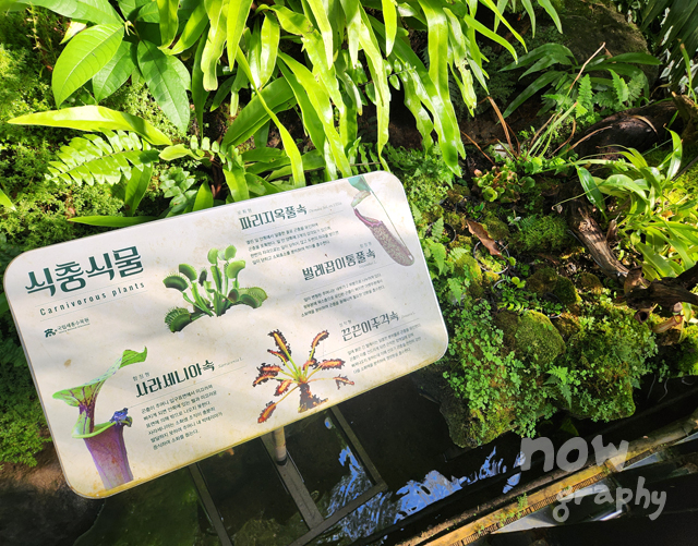 국립세종수목원