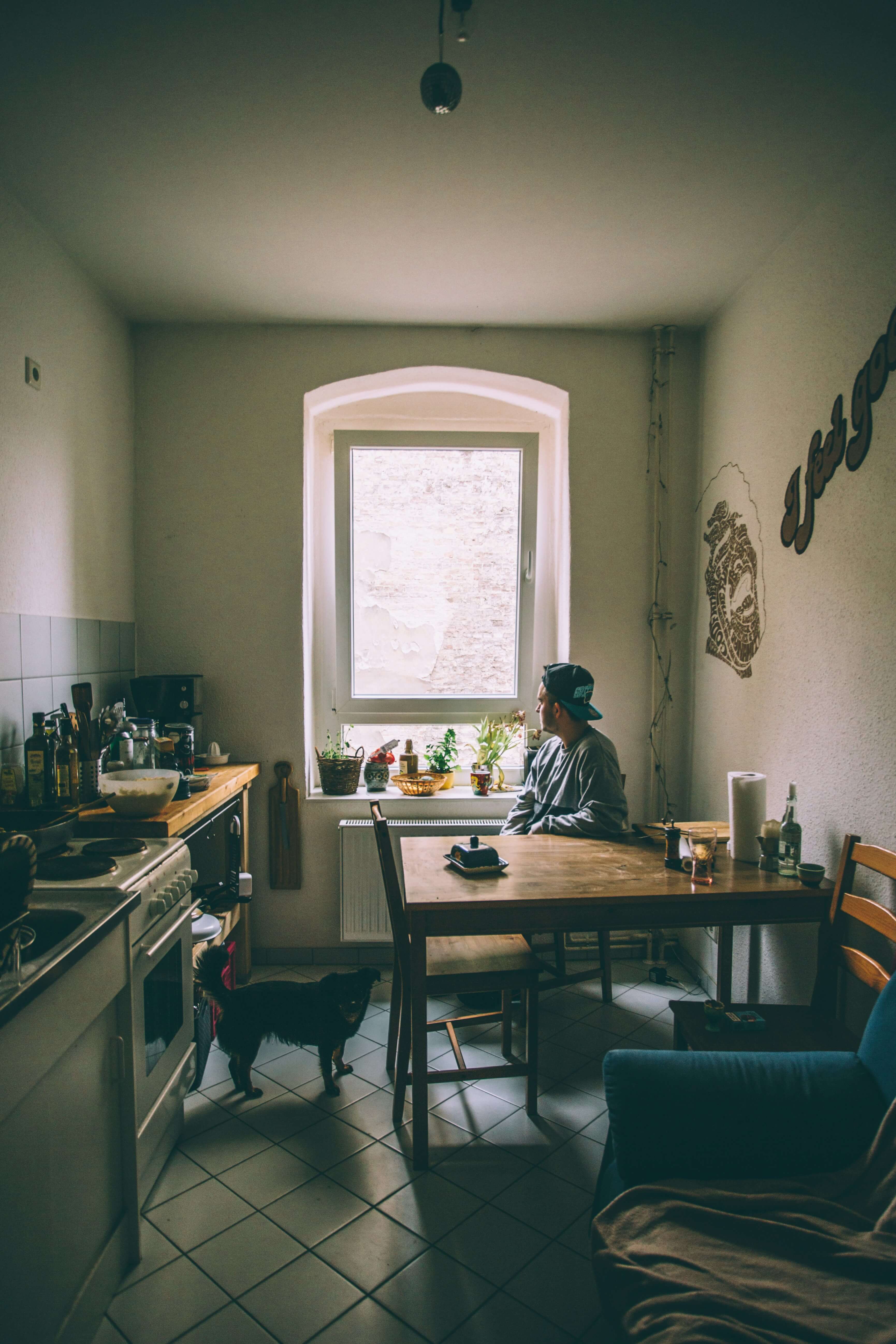 1인 가구 증가가 도시 인프라에 미치는 영향