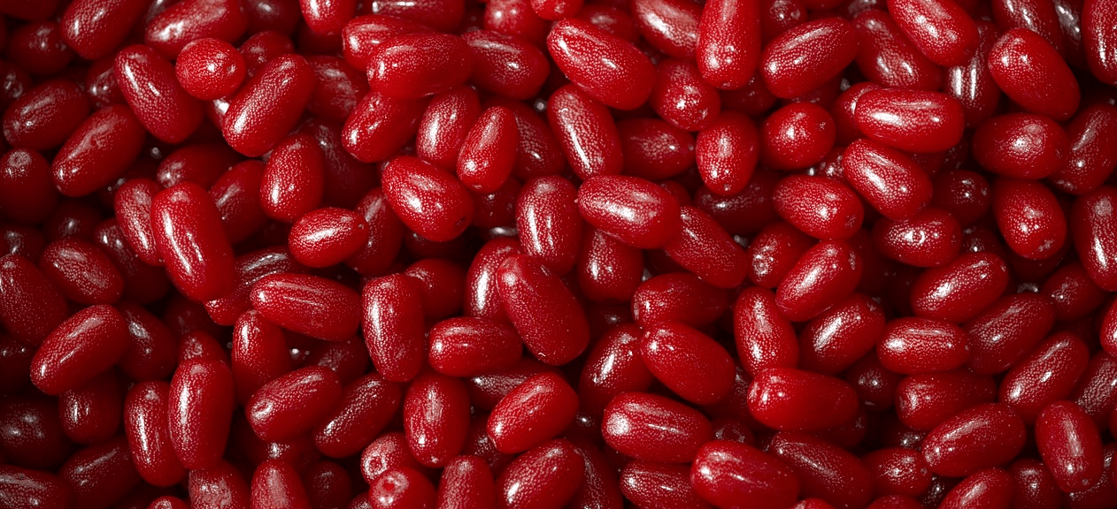 보리수 열매 사진 - 7