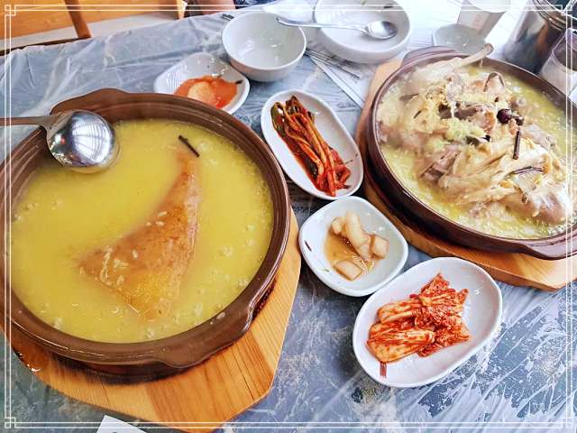 경기 오산 맛집 연 매출 15억 황금빛 상황버섯 누룽지 닭백숙