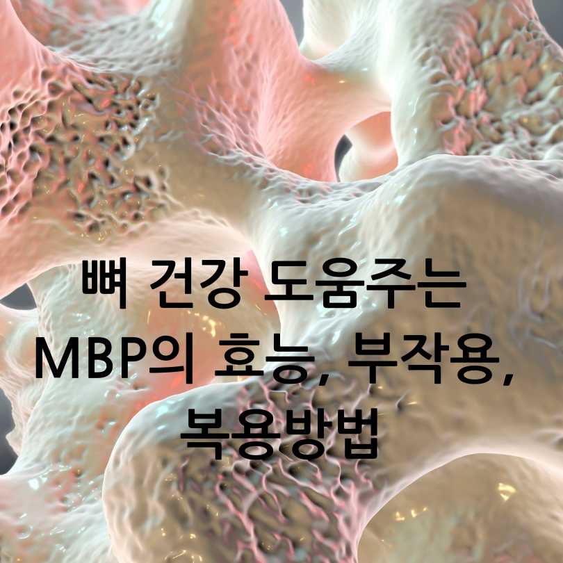MBP의 효능, 부작용, 복용방법