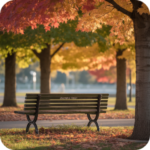 서울·수도권 당일치기 단풍 여행 명소 이미지