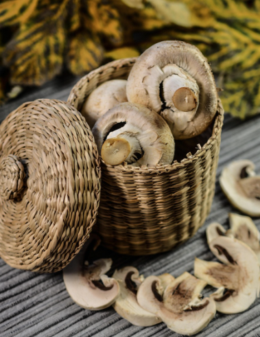 양송이버섯_보관법