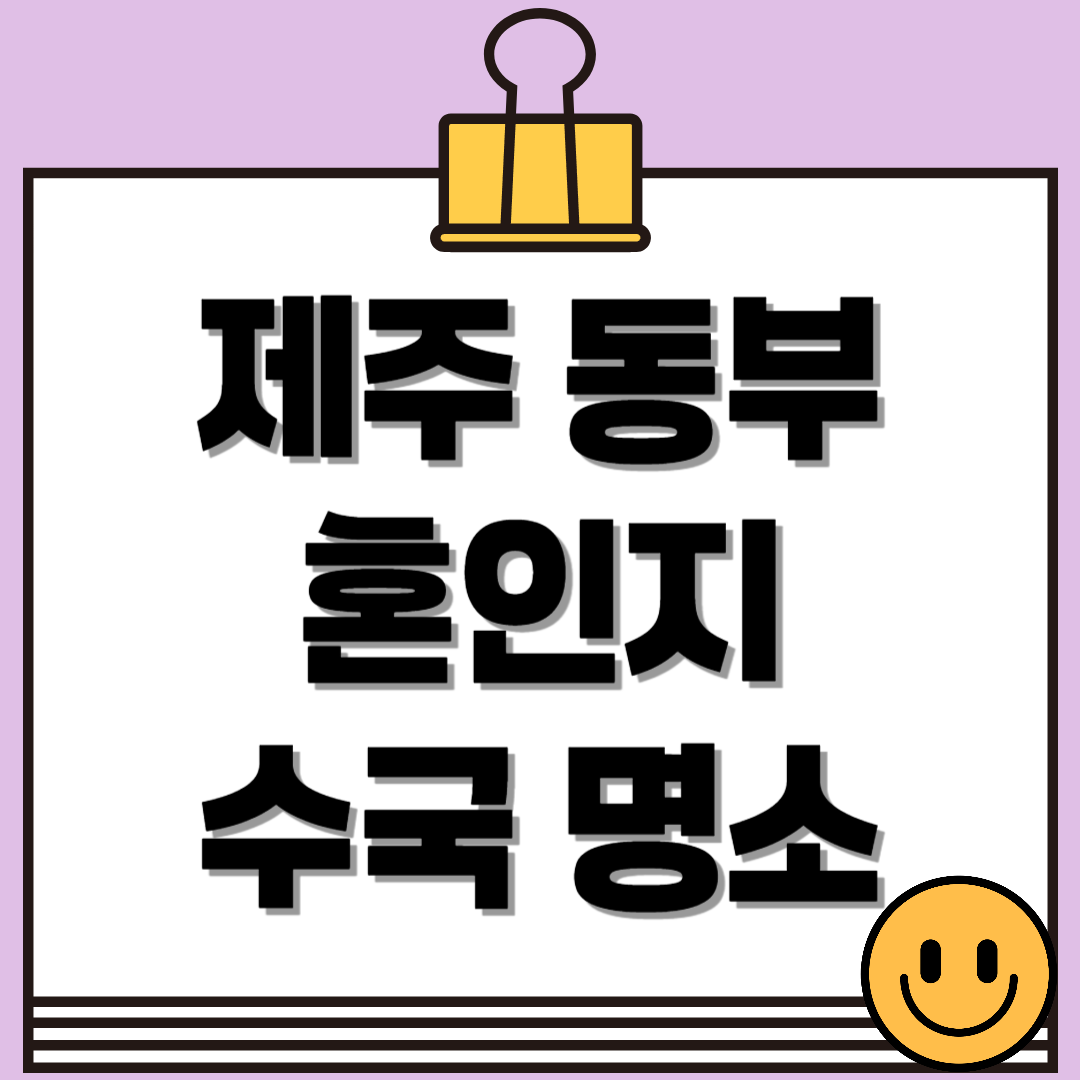 제주 혼인지 수국 명소 총정리! 개화시기부터 인생샷 포인트까지