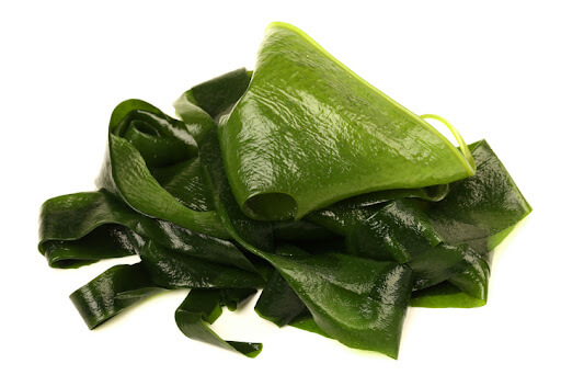 콘드로이친-많은음식