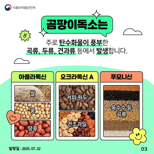 곰팡이 독소, 침묵의 위협! 꼭 알아야 할 예방법