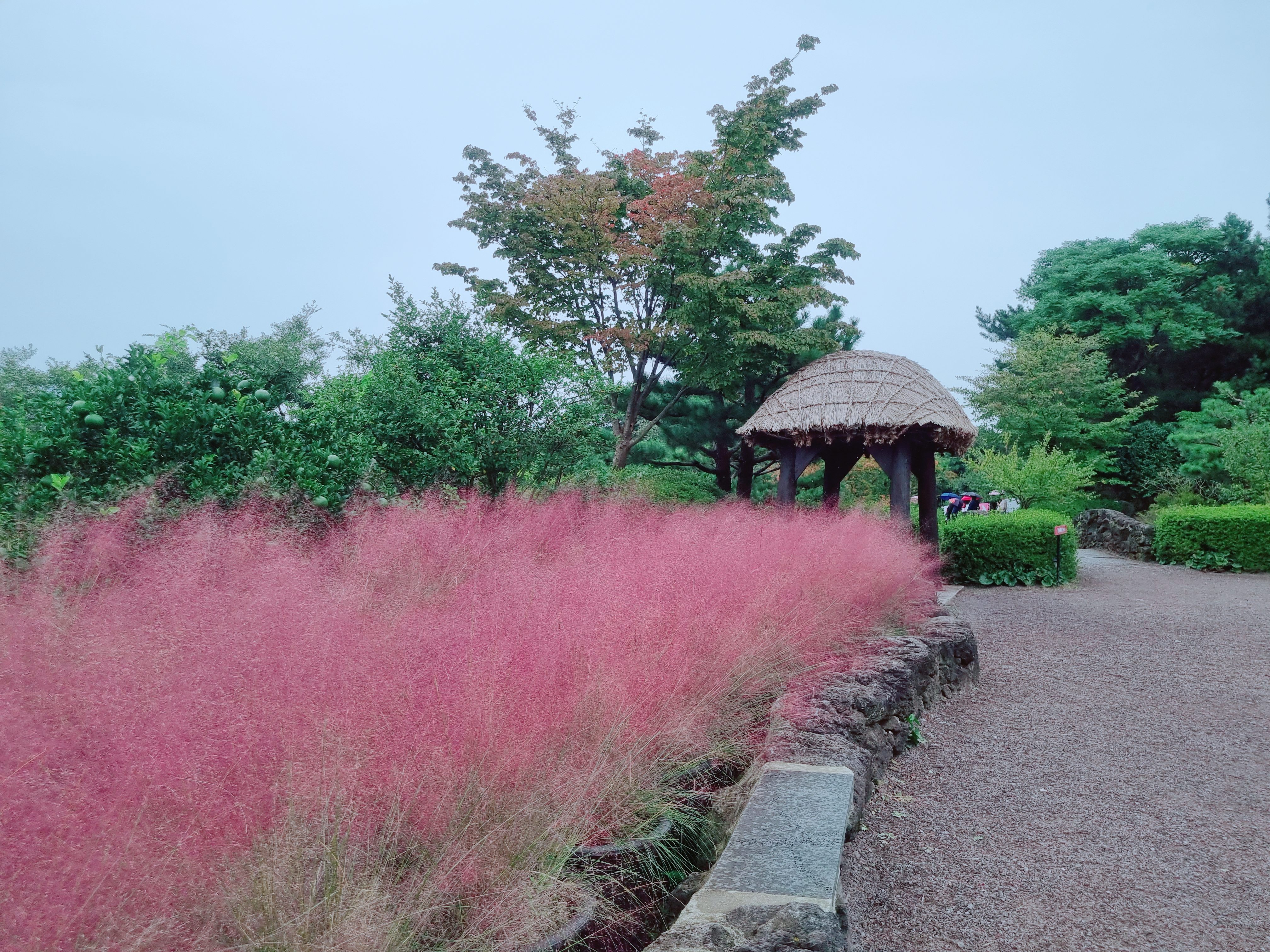 휴애리 자연생활공원