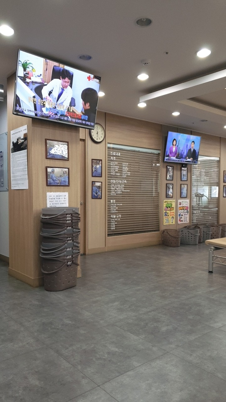 파주시 월롱면 정형외과 유명한 곳 잘하는 곳 추천 TOP 5