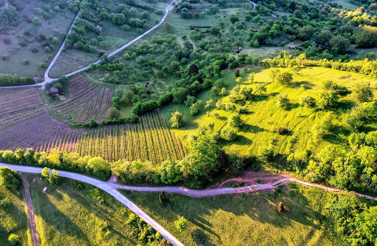 스페인 산티아고 순례길