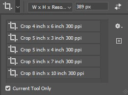 Crop 툴의 정해진 비율들의 옵션들