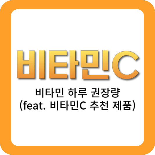 비타민C-하루권장량-비타민C-추천제품