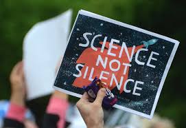 2024 개정 교육과정 교과 맞춤 학습법 초등학생 과학