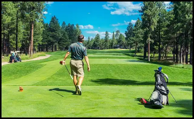 파크골프 용어 정리 (+ 해설 )