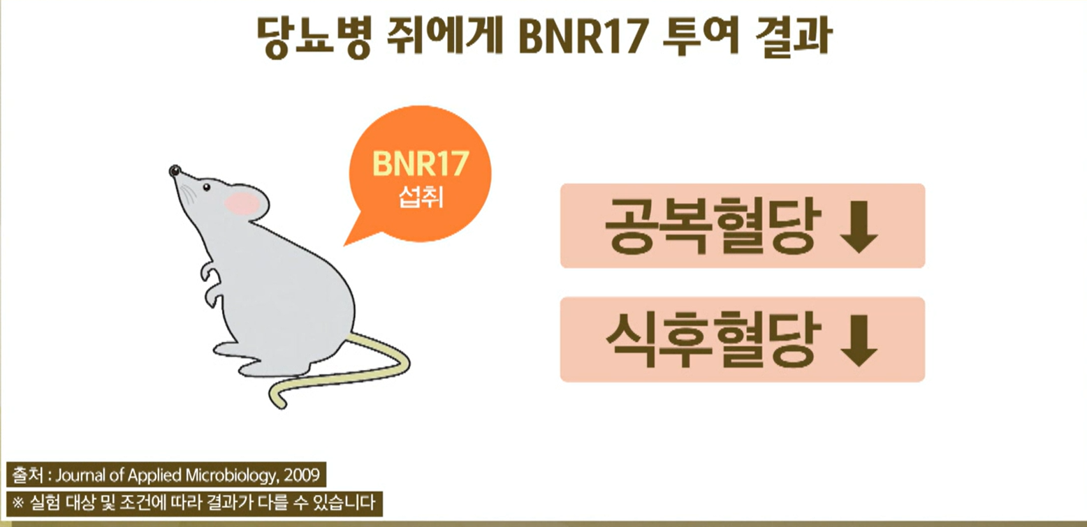 BNR17유산균 효능