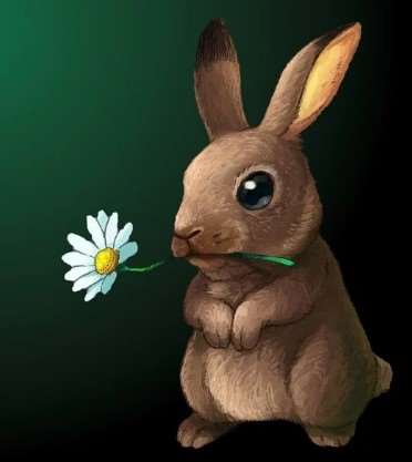 2026년 병오년 토끼띠 신년운세