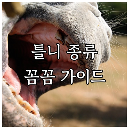 틀니 치료의 모든 것: 종류, 과정,