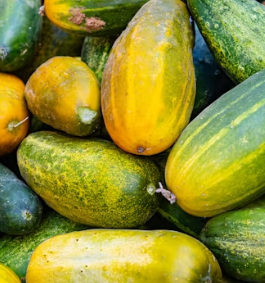 애호박 효능과 부작용 영양성분 고르는법 칼로리