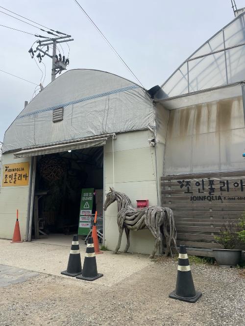 식집사가-좋아할만한-파주-식물원-조인폴리아-화훼단지