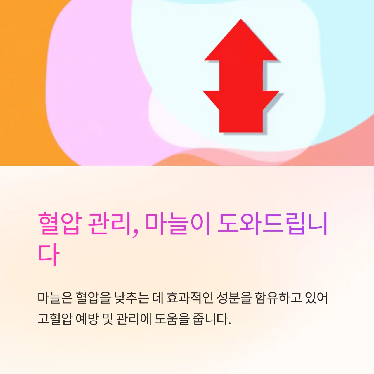 혈압 조절