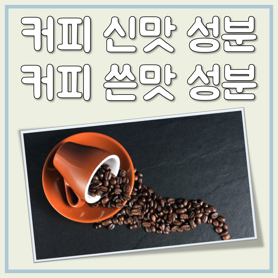 커피 쓴맛 성분과 신맛 성분 총정리