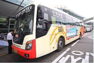 6003번 버스
