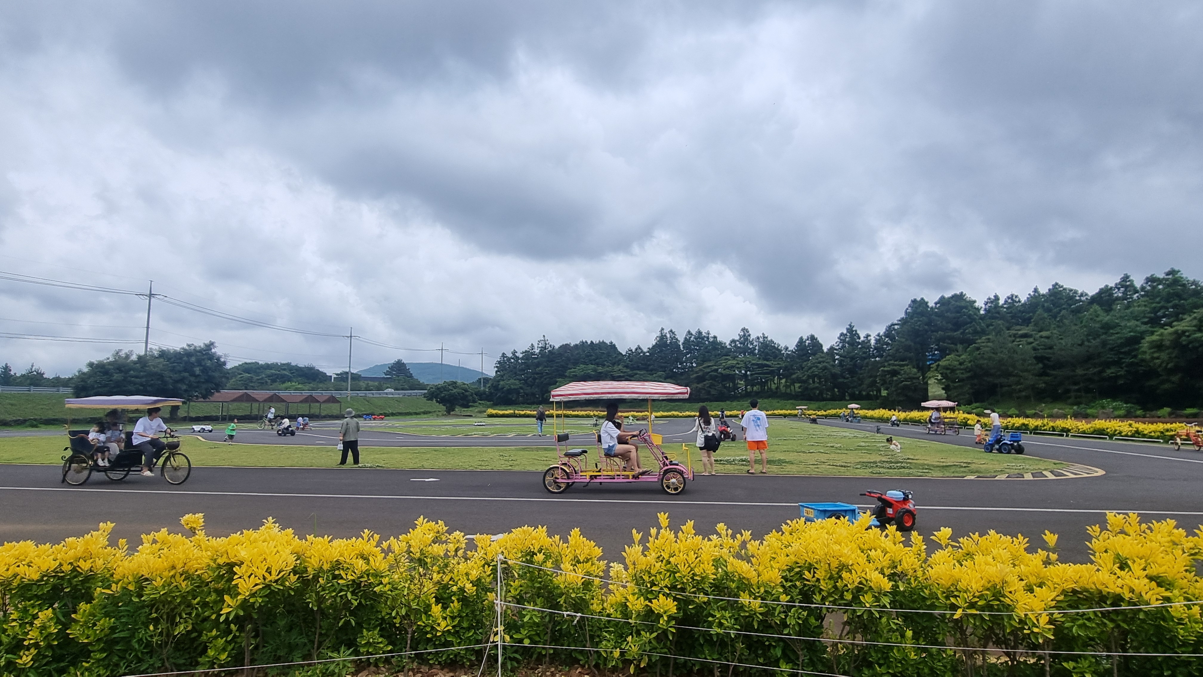 제주 목장카페 밭디