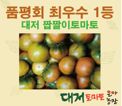[6시 내고향] 찰토마토(대저짭짤이) 택배주문 정보