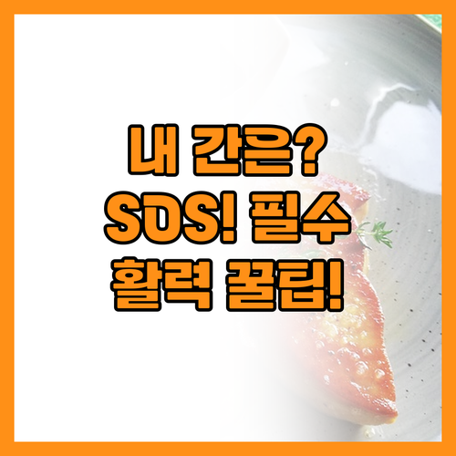당신의 간은 쉬고 있나요? 활력 넘치..