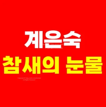 노래로배우는일본어 스즈메노나미다すずめの涙 계은숙 桂銀淑 참새의눈물 가사 독음 번역 해설 단어 엔카명곡 일본명곡으로 정리_3
