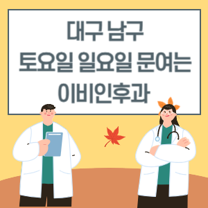 대구 남구 토요일 일요일 이비인후과 진료 문여는 병원 리스트