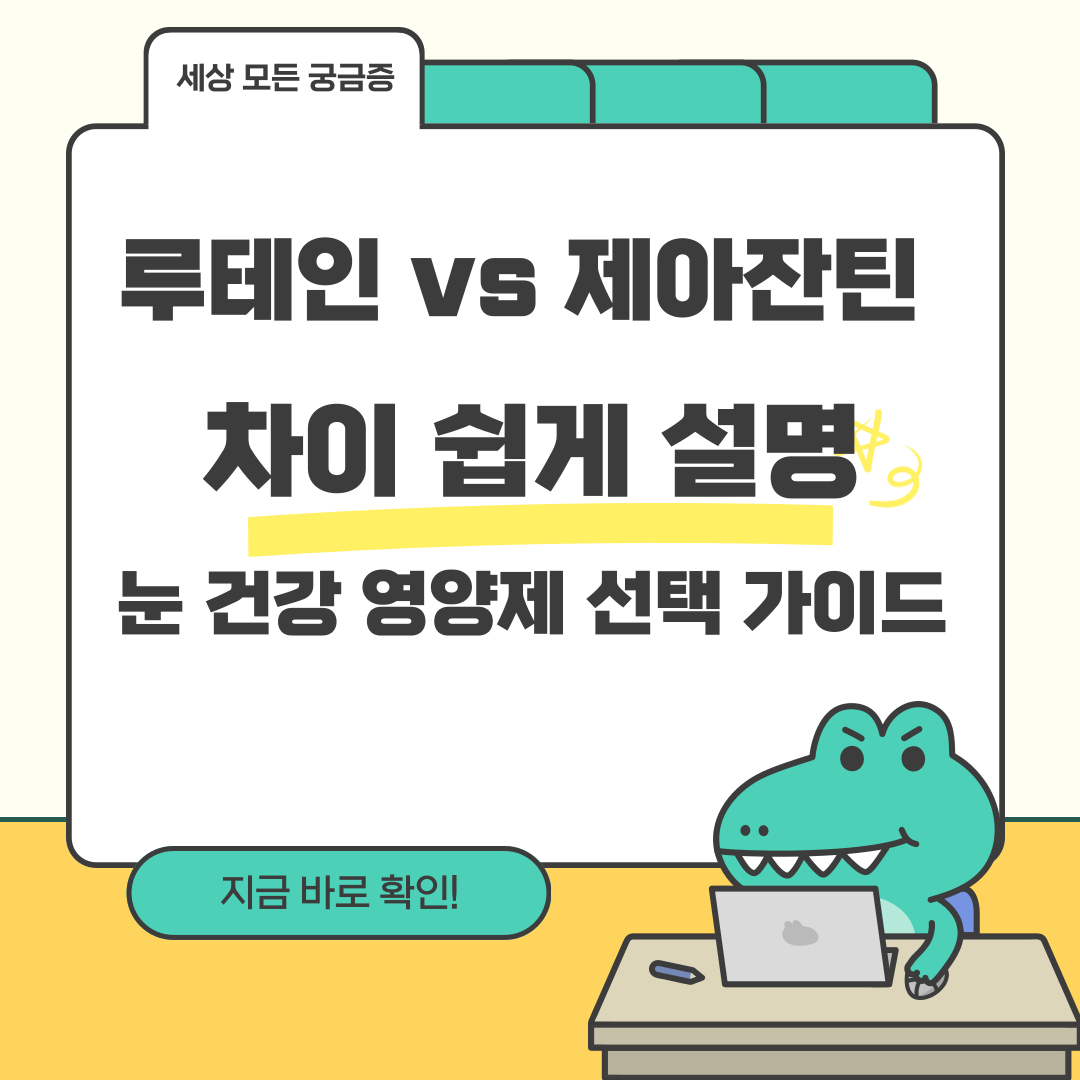 루테인 vs 제아잔틴 차이 쉽게 설명