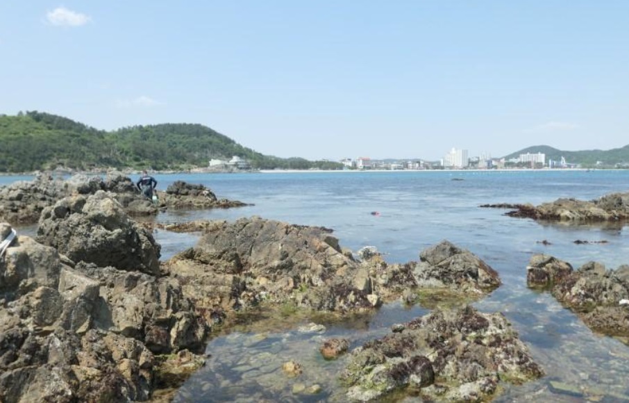 경주-지경해변