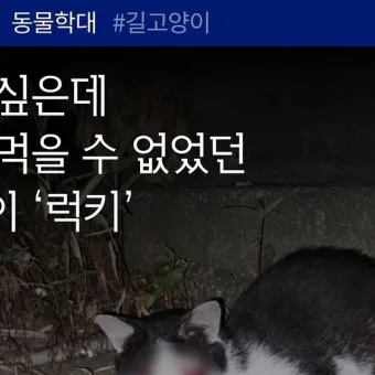 같습니다 갔습니다 차이 자료집_26