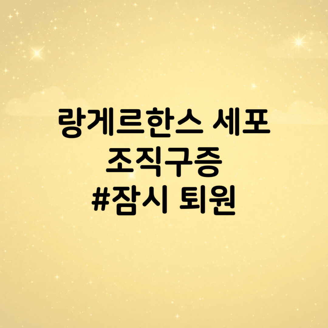 랑게르한스 퇴원