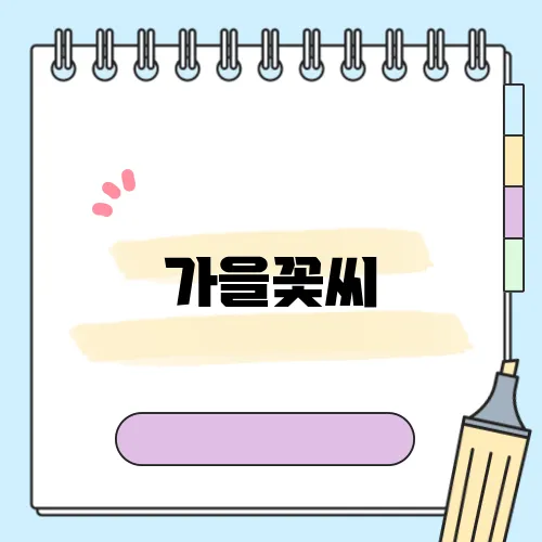 가을꽃씨