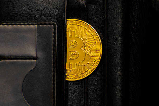 코인지갑의 종류