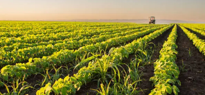 인류와 함께 발전한 농업