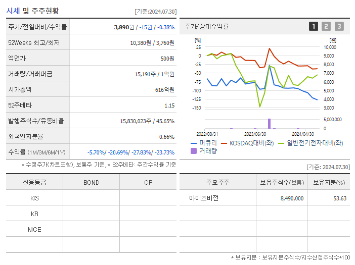 머큐리_기업개요
