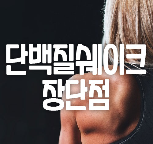 단백질쉐이크 장단점