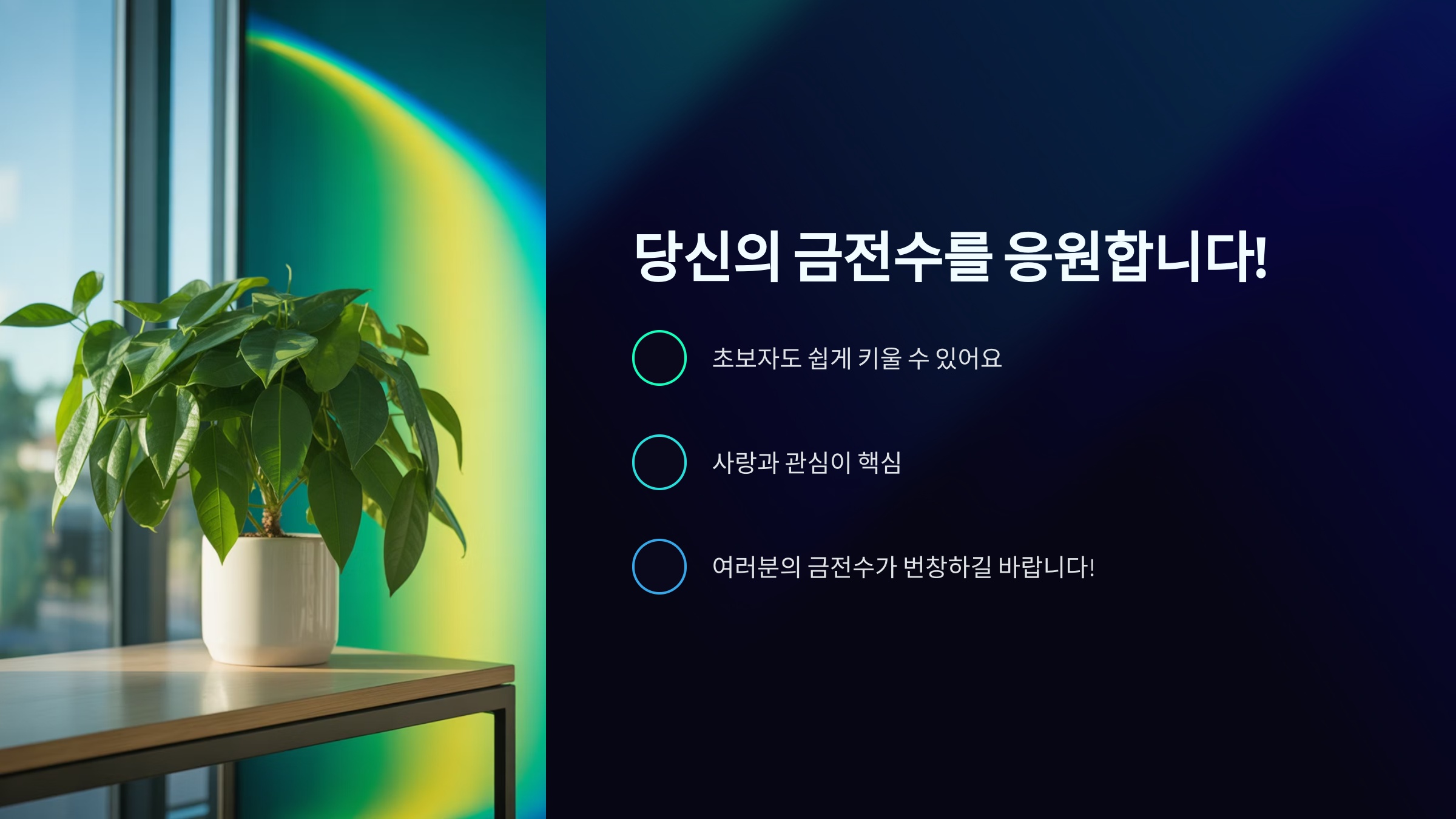 마무리하며: 당신의 금전수를 응원합니다!