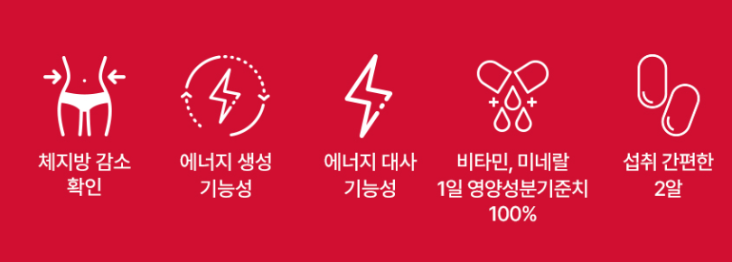 다이어트 보조제