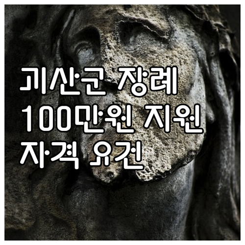 2025 괴산군 장례 지원 정책: 1..