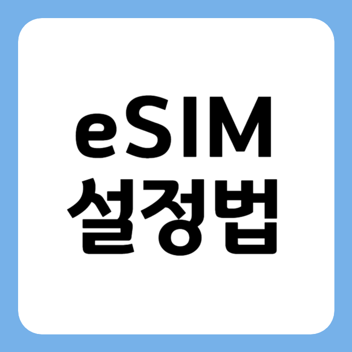 썸네일 eSIM 설정법