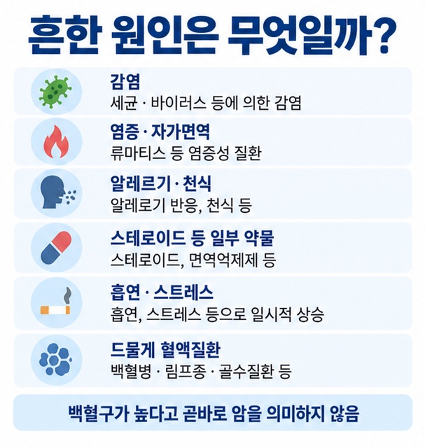 감염 염증 알레르기 약물 흡연 스트레스 혈액질환 등 백혈구 수치가 높아지는 대표 원인을 정리한 인포그래픽