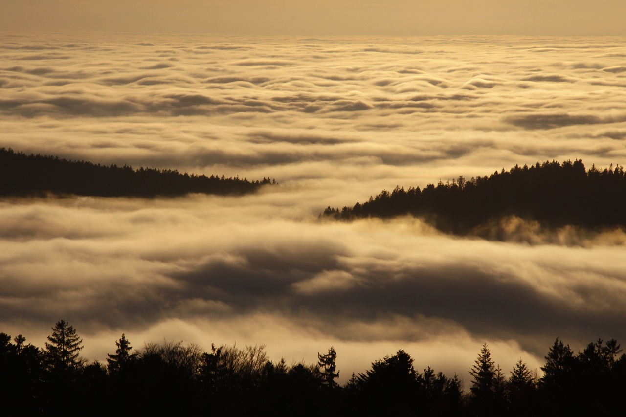 해외 명상 도서 추천 사진