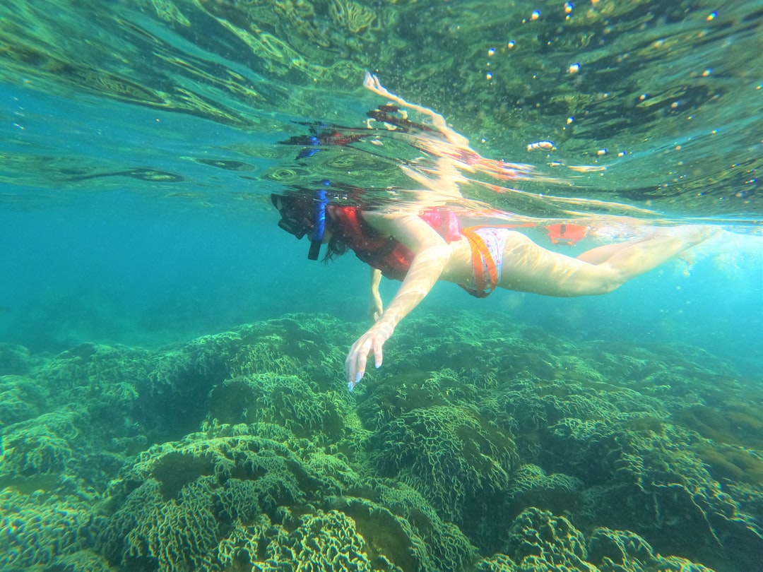 Snorkeling