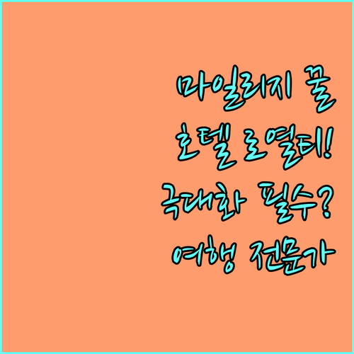 여행 전문가의 항공 마일리지 및 호텔..