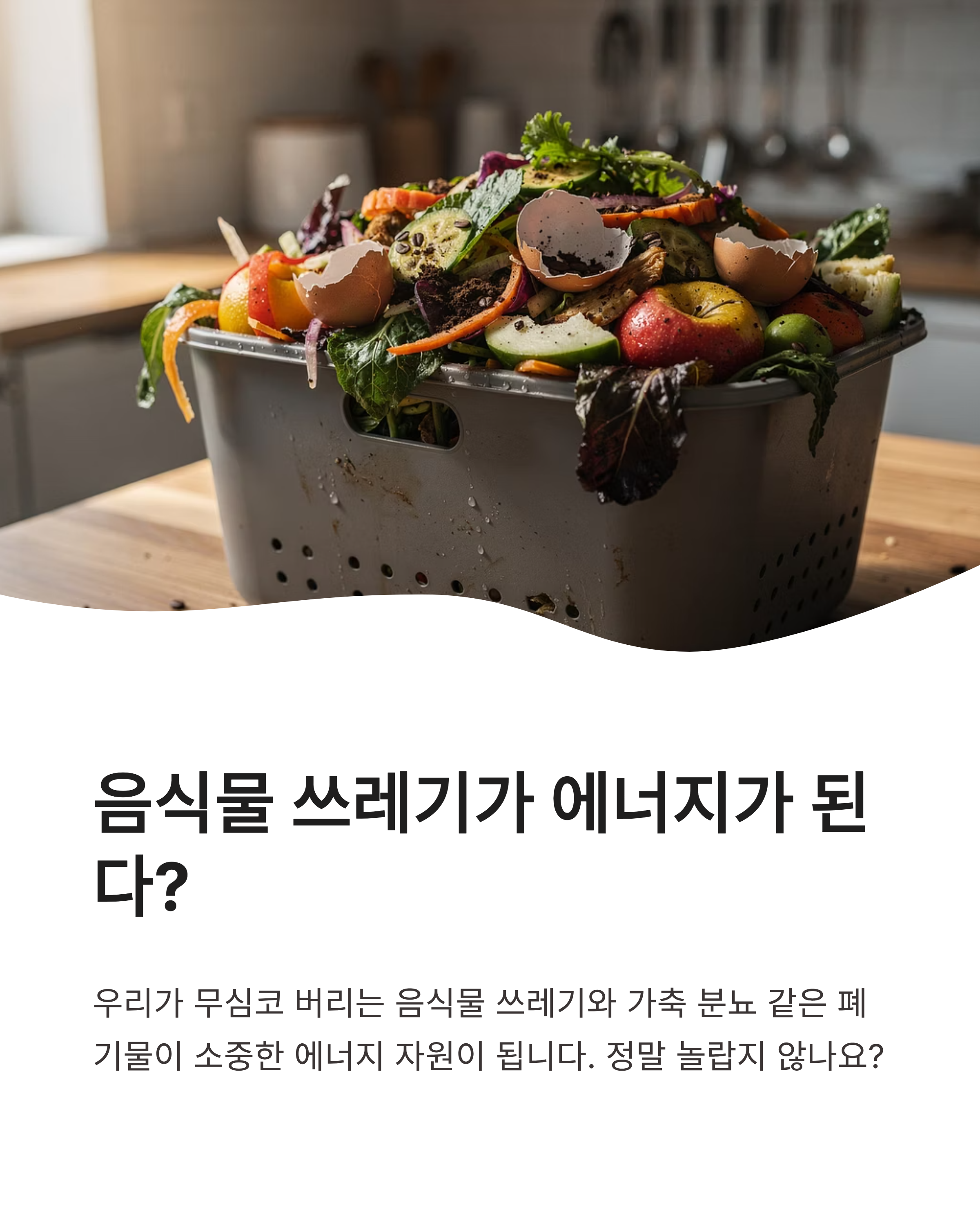 6월 5일 기후행동(기후동행) 퀴즈 정답, 환경도 지키고 지식도 쌓는 방법!